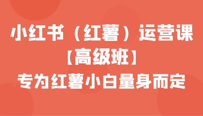 小红书（红薯）运营课【高级班】，专为红薯小白量身而定（42节课） - 白戈学堂-<a href=