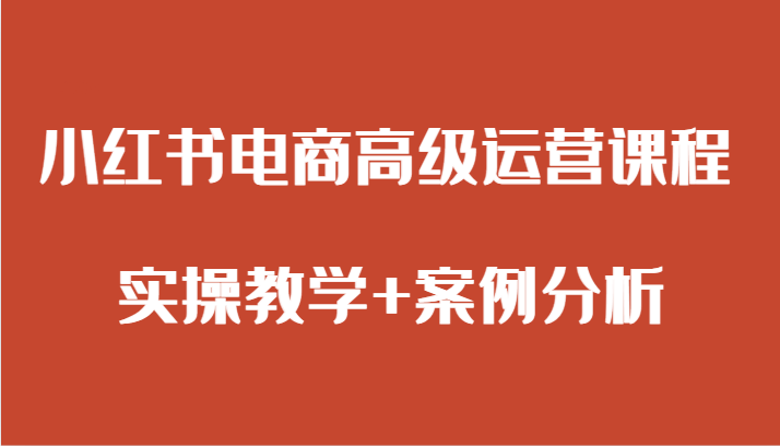 小红书电商高级运营课程 实操教学+案例分析 - 白戈学堂-<a href=