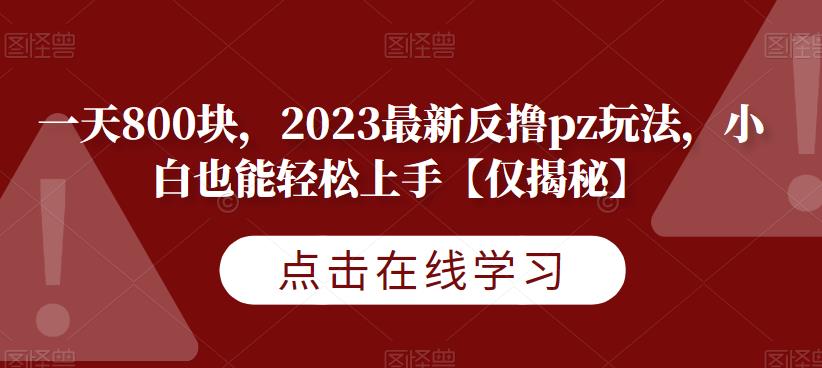 一天800块，2023最新反撸pz玩法，小白也能轻松上手【仅揭秘】 - 白戈学堂-<a href=