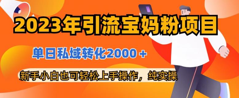 2023年引流宝妈粉项目，单日私域转化2000＋，新手小白也可轻松上手操作，纯实操 - 白戈学堂-<a href=