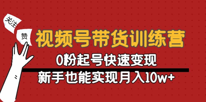 （4446期）视频号带货训练营：0粉起号快速变现，新手也能实现月入10w+ - 白戈学堂-<a href=