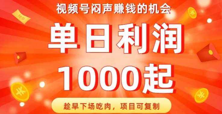 视频号闷声赚钱的机会，趁早下场吃肉，项目可复制，单日利润1000起【揭秘】 - 白戈学堂-<a href=