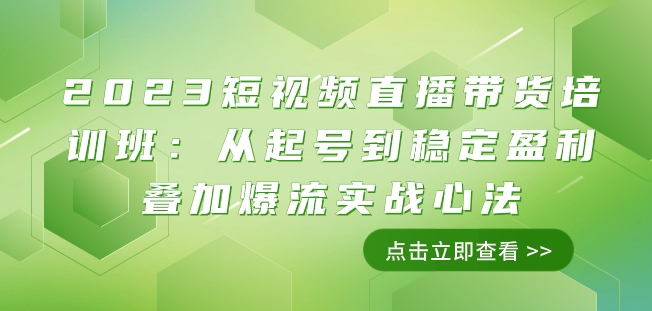 2023短视频直播带货培训班：从起号到稳定盈利叠加爆流实战心法（11节课） - 白戈学堂-<a href=