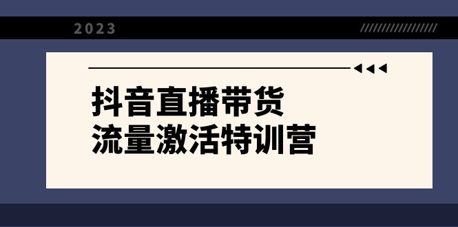 （8185期）抖音直播带货-流量激活特训营，入行新手小白主播必学（21节课+资料） - 白戈学堂-<a href=