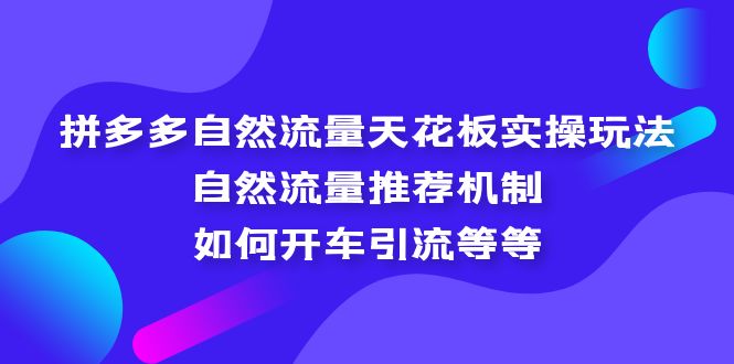 （5327期）拼多多自然流量天花板实操玩法：自然流量推荐机制，如何开车引流等等 - 白戈学堂-<a href=