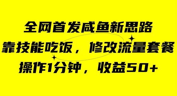 咸鱼冷门新玩法，靠“技能吃饭”，修改流量套餐，操作1分钟，收益50【揭秘】 - 白戈学堂-<a href=