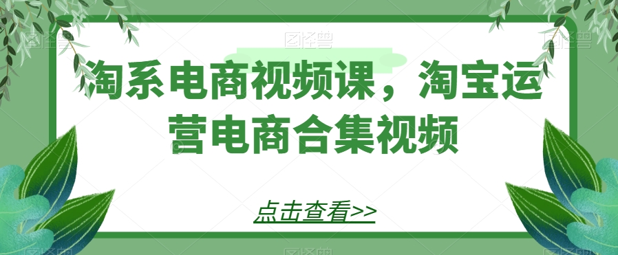 淘系电商视频课，淘宝运营电商合集视频 - 白戈学堂-<a href=