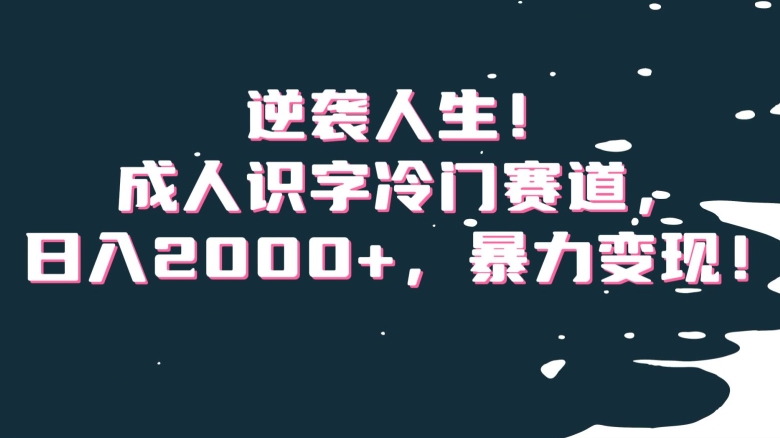 逆袭人生！成人识字冷门赛道，日入2000+，暴力变现！【揭秘】 - 白戈学堂-<a href=