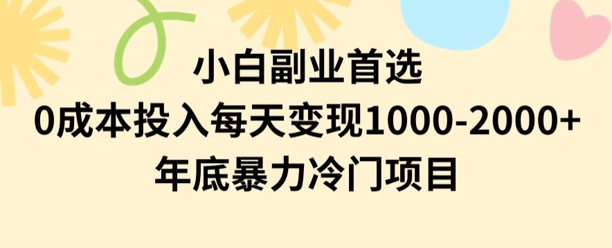 小白副业首选，0成本投入，每天变现1000-2000年底暴力冷门项目【揭秘】 - 白戈学堂-<a href=