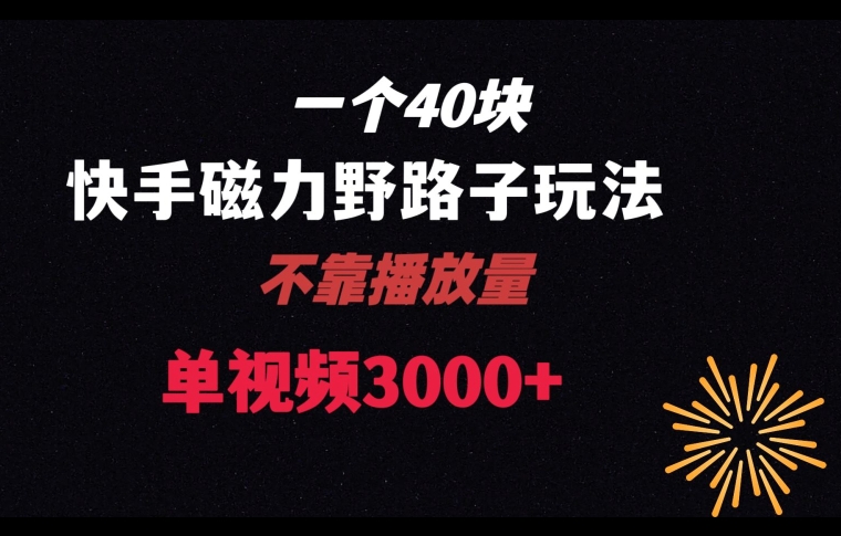 一个40块，快手联合美团磁力新玩法，无视机制野路子玩法，单视频收益4位数【揭秘】 - 白戈学堂-<a href=