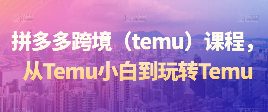 拼多多跨境（temu）课程，从Temu小白到玩转Temu - 白戈学堂-<a href=