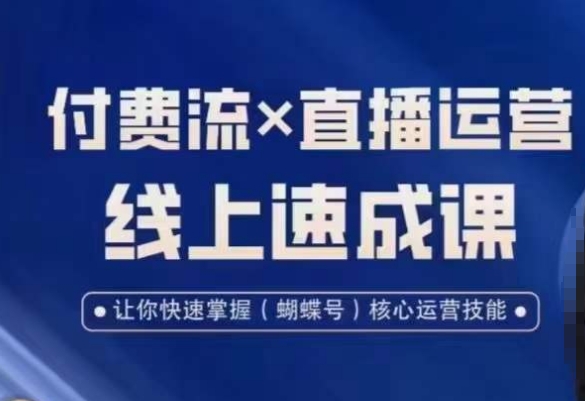 视频号付费流实操课程，付费流✖️直播运营速成课，让你快速掌握视频号核心运营技能 - 白戈学堂-<a href=