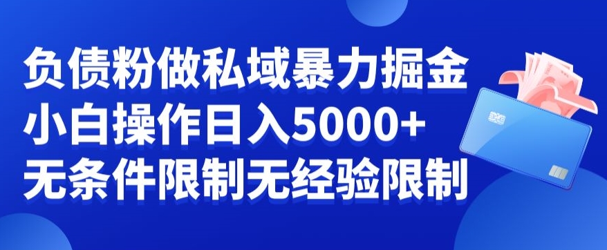 负债粉私域暴力掘金，小白操作入5000，无经验限制，无条件限制 - 白戈学堂-<a href=