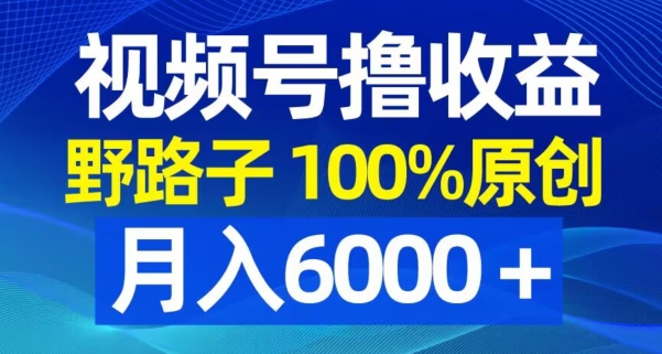 视频号野路子撸收益，100%原创，条条爆款，月入6000＋ - 白戈学堂-<a href=