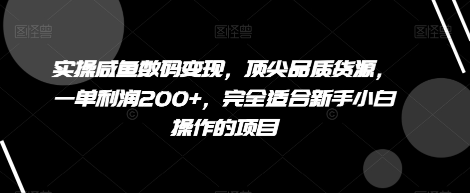 实操咸鱼数码变现，顶尖品质货源，一单利润200+，完全适合新手小白操作的项目【揭秘】 - 白戈学堂-<a href=