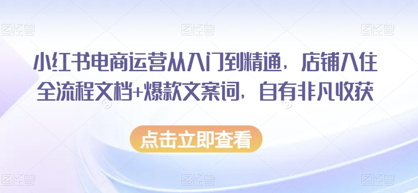 小红书电商运营从入门到精通，店铺入住全流程文档+爆款文案词，自有非凡收获 - 白戈学堂-<a href=