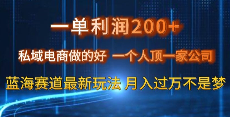 一单利润200私域电商做的好，一个人顶一家公司蓝海赛道最新玩法【揭秘】 - 白戈学堂-<a href=