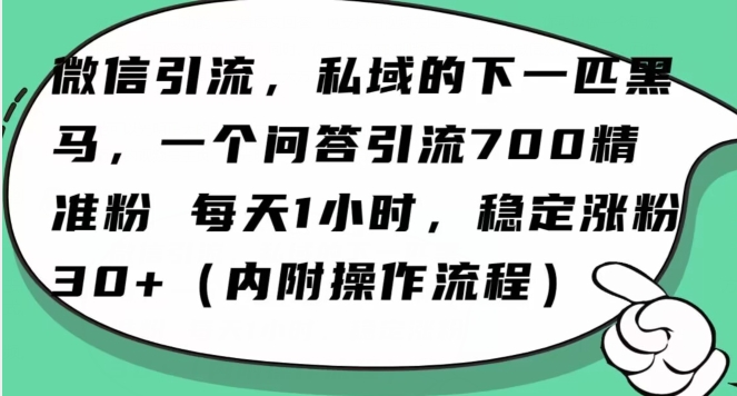 怎么搞精准创业粉？微信新赛道，每天一小时，利用Ai一个问答日引100精准粉 - 白戈学堂-<a href=