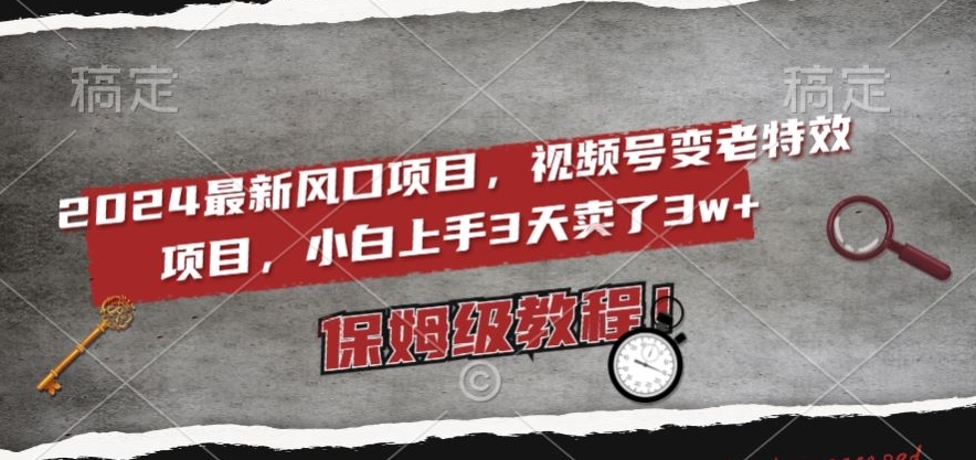 2024最新风口项目，视频号变老特效项目，电脑小白上手3天卖了3w+，保姆级教程【揭秘】 - 白戈学堂-<a href=