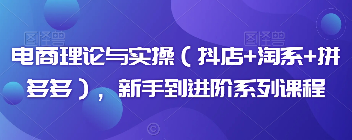 电商理论与实操（抖店+淘系+拼多多），新手到进阶系列课程 - 白戈学堂-<a href=