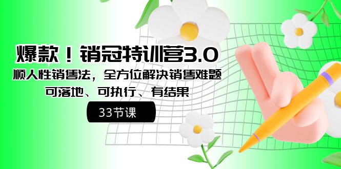 （8573期）爆款！销冠特训营3.0之顺人性销售法，全方位解决销售难题、可落地、可执… - 白戈学堂-<a href=