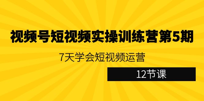 视频号短视频实操训练营第5期：7天学会短视频运营（12节课） - 白戈学堂-<a href=