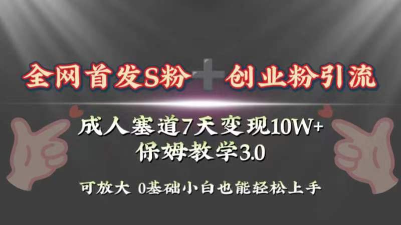 （8337期）全网首发s粉加创业粉引流变现，成人用品赛道7天变现10w+保姆教学3.0 - 白戈学堂-<a href=