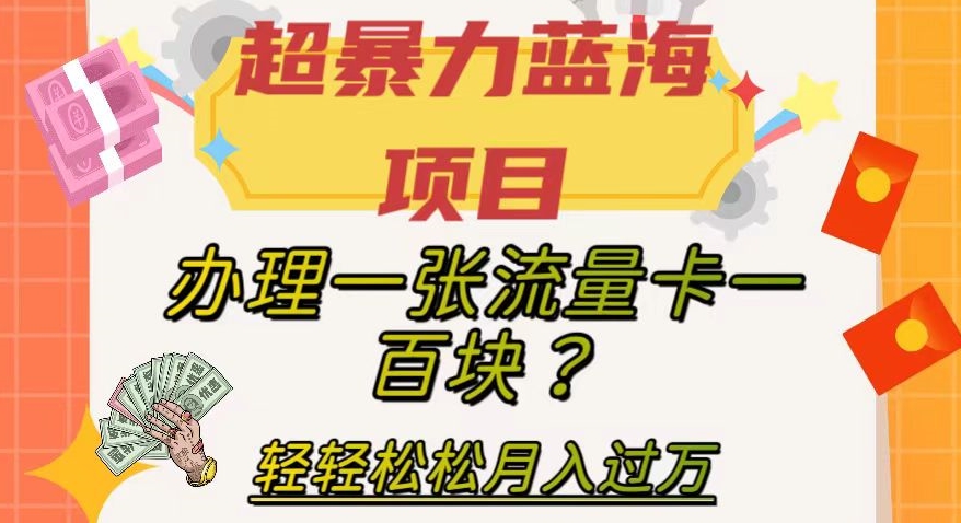 超暴力蓝海项目，办理一张流量卡一百块？轻轻松松月入过万，保姆级教程【揭秘】 - 白戈学堂-<a href=