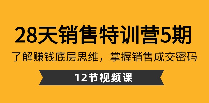 28天销售特训营5期：了解赚钱底层思维，掌握销售成交密码（12节课） - 白戈学堂-<a href=