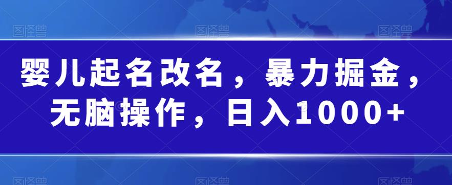 婴儿起名改名，暴力掘金，无脑操作，日入1000+【揭秘】 - 白戈学堂-<a href=