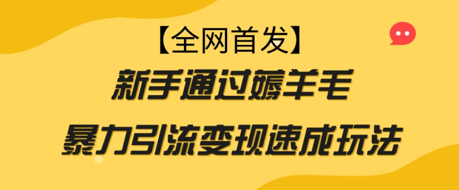 【全网首发】新手通过薅羊毛暴力引流变现速成玩法 - 白戈学堂-<a href=