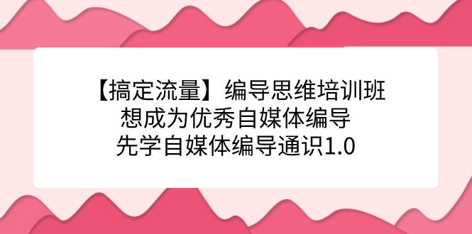 （7281期）【搞定流量】编导思维培训班，想成为优秀自媒体编导先学自媒体编导通识1.0 - 白戈学堂-<a href=