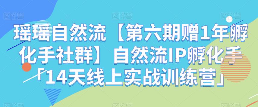 瑶瑶自然流【第六期赠1年孵化手社群】自然流IP孵化手「14天线上实战训练营」 - 白戈学堂-<a href=