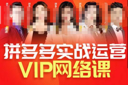 推易拼多多VIP全套直播课程，拼多多店铺实操玩法+实战玩法选款内功+直通车高阶等 - 白戈学堂-<a href=