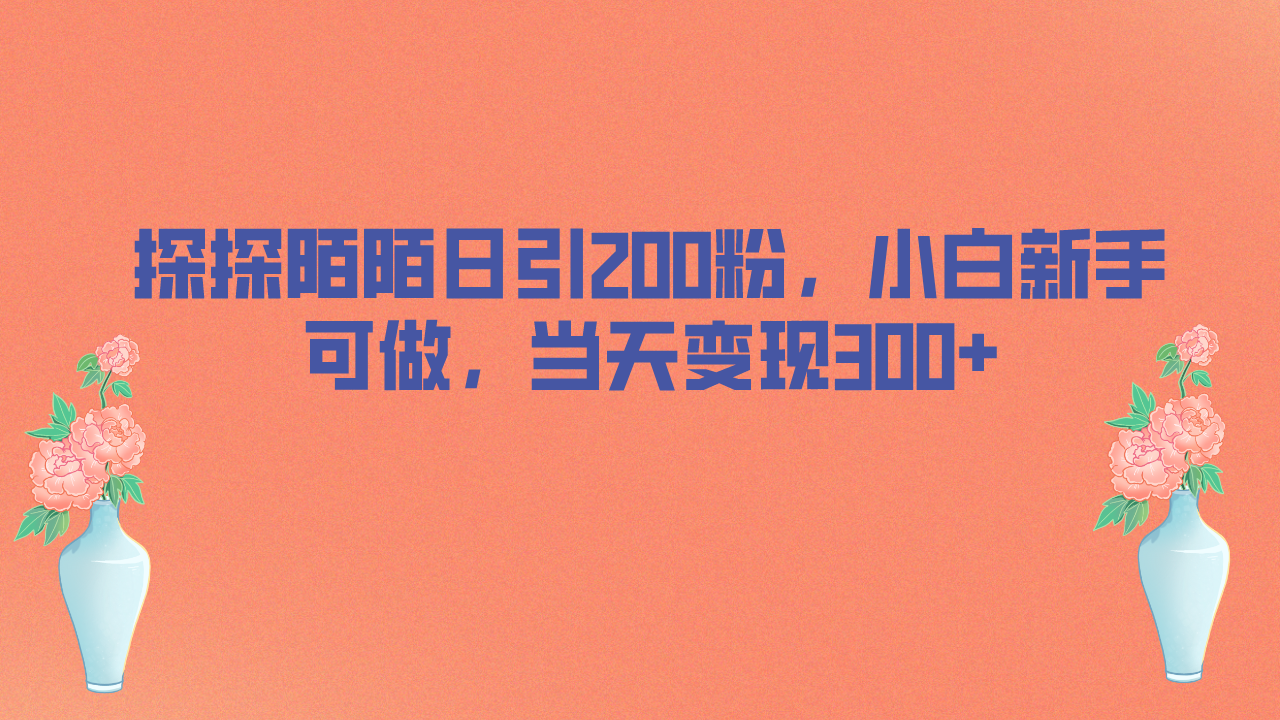 （6817期）探探陌陌日引200粉，小白新手可做，当天就能变现300+ - 白戈学堂-<a href=