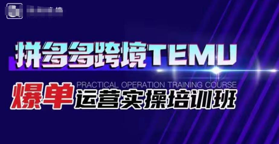 拼多多跨境TEMU爆单运营实操培训班，海外拼多多的选品、运营、爆单 - 白戈学堂-<a href=