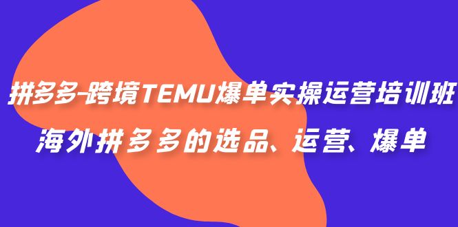 （6934期）拼多多-跨境TEMU爆单实操运营培训班，海外拼多多的选品、运营、爆单 - 白戈学堂-<a href=