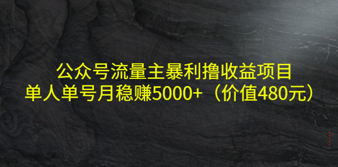 （4011期）公众号流量主暴利撸收益项目，单人单号月稳赚5000+（价值480元） - 白戈学堂-<a href=