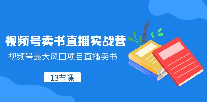 （8080期）视频号-卖书直播实战营，视频号最大风囗项目直播卖书（13节课） - 白戈学堂-<a href=