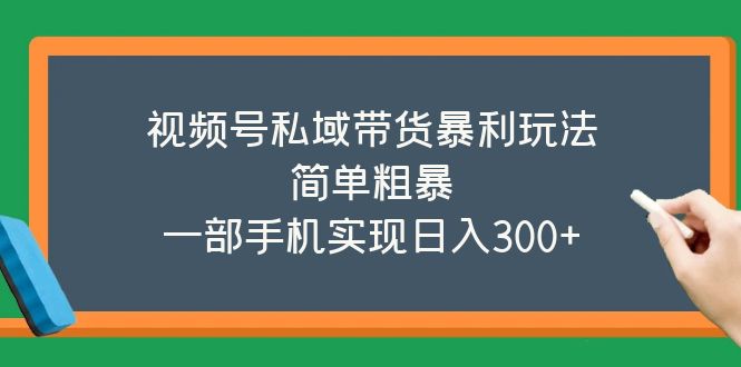 （5544期）视频号私域带货暴利玩法，简单粗暴，一部手机实现日入300+ - 白戈学堂-<a href=