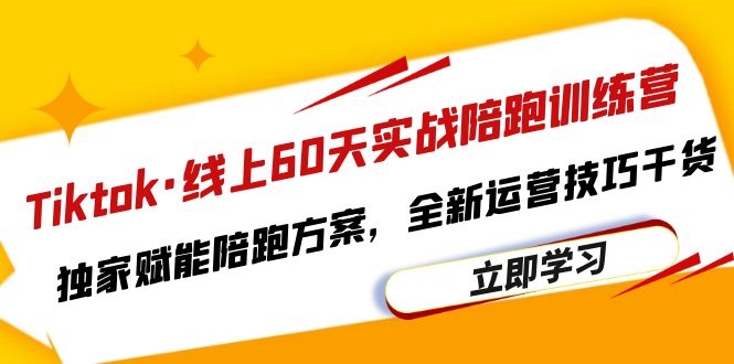 （6333期）Tiktok·线上60天实战陪跑训练营，独家赋能陪跑方案，全新运营技巧干货 - 白戈学堂-<a href=