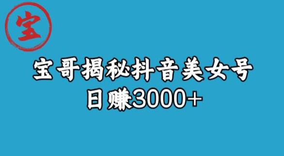 宝哥揭秘抖音美女号玩法，日赚3000+【揭秘】 - 白戈学堂-<a href=