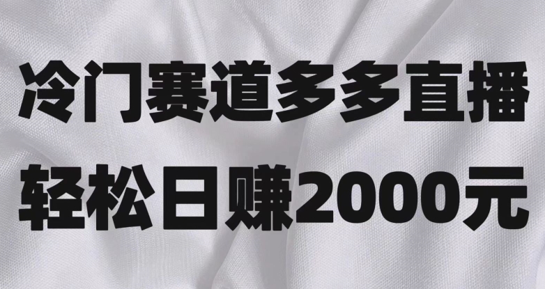 冷门赛道拼多多直播，简单念稿子，日收益2000＋【揭秘】 - 白戈学堂-<a href=