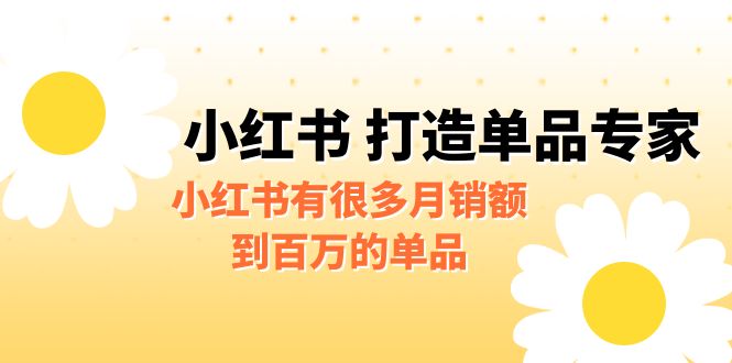 [小红书]某公众号付费文章《小红书 打造单品专家》小红书有很多月销额到百万的单品 - 白戈学堂-<a href=