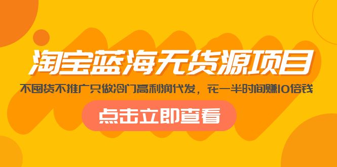 （5062期）淘宝蓝海无货源项目，不囤货不推广只做冷门高利润代发，花一半时间赚10倍钱 - 白戈学堂-<a href=