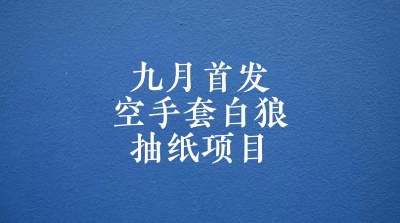 0成本，日入100-500空手套白狼抽纸项目，保姆级教学 - 白戈学堂-<a href=