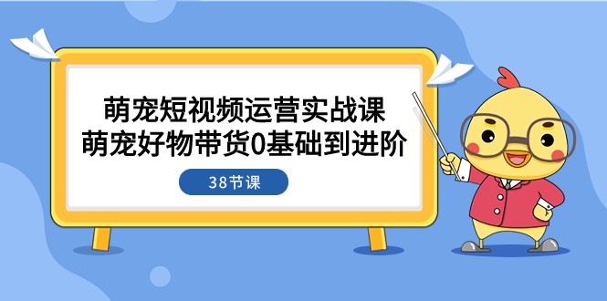 萌宠·短视频运营实战课：萌宠好物带货0基础到进阶（38节课） - 白戈学堂-<a href=