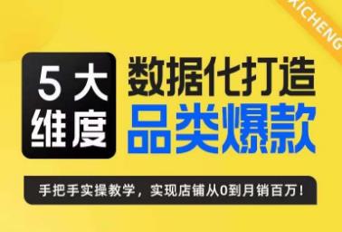 5大维度，数据化打造电商品类爆款特训营，一套高效运营爆款方法论 - 白戈学堂-<a href=