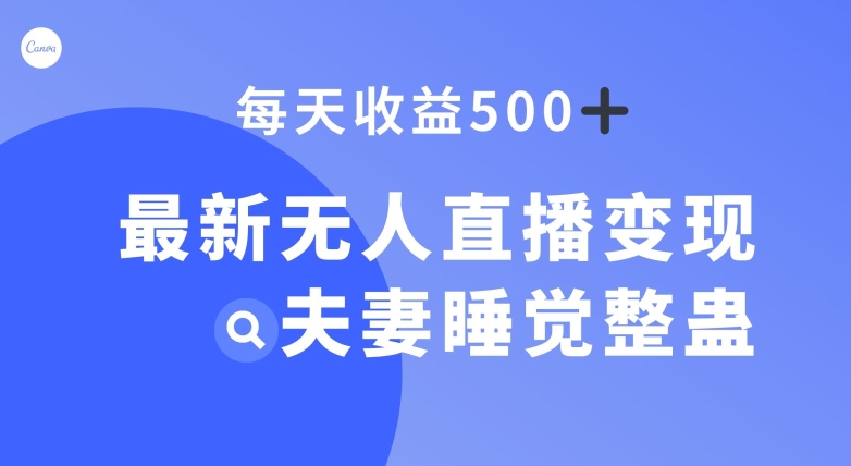 最新无人直播变现，夫妻睡觉整蛊，每天躺赚500+【揭秘】 - 白戈学堂-<a href=