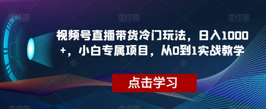 视频号直播带货冷门玩法，日入1000+，小白专属项目，从0到1实战教学【揭秘】 - 白戈学堂-<a href=